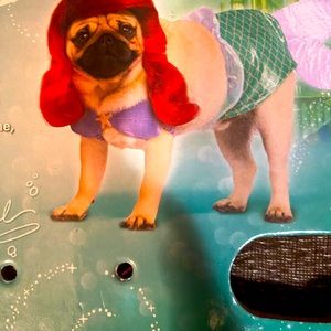 Doggie Halloween costume